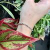 Yarim Bracelet - Labradorite - Image 4