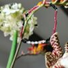 Bee Seed Bracelet Stack - Image 7